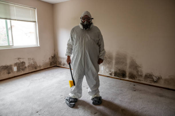 Best Mold Removal for HVAC Installations  in Many, LA